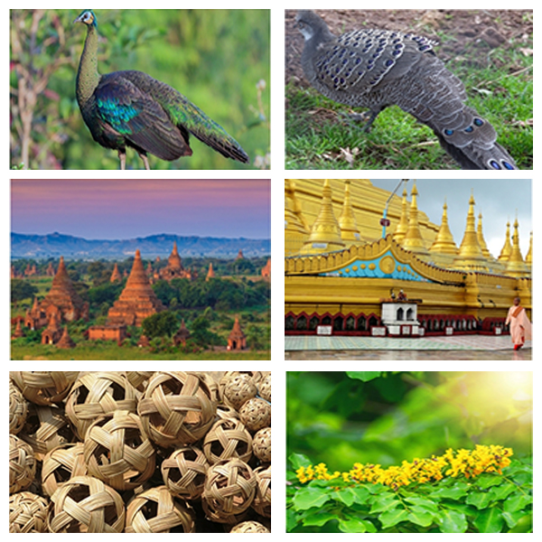 India Myanmar Business and Cultural Council - About myanmar
